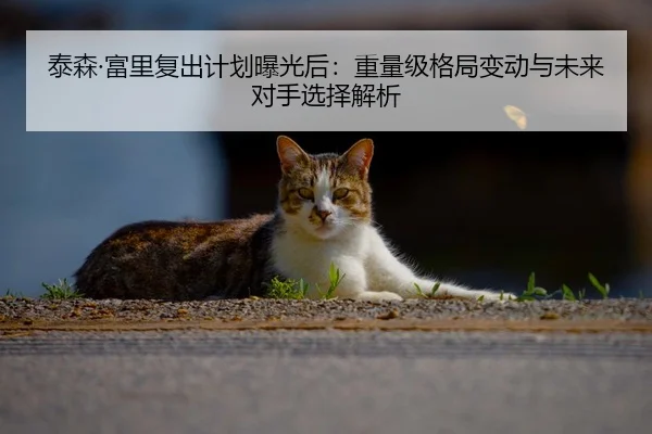 泰森·富里复出计划曝光后：重量级格局变动与未来对手选择解析