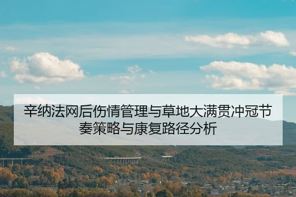 xin-na-fa-wang-hou-shang-qing-guan-li-yu-cao-di-da-man-guan-chong-guan-jie-zou-ce-lve-yu-kang-fu-lu-jing-fen-xi-2-462.jpg